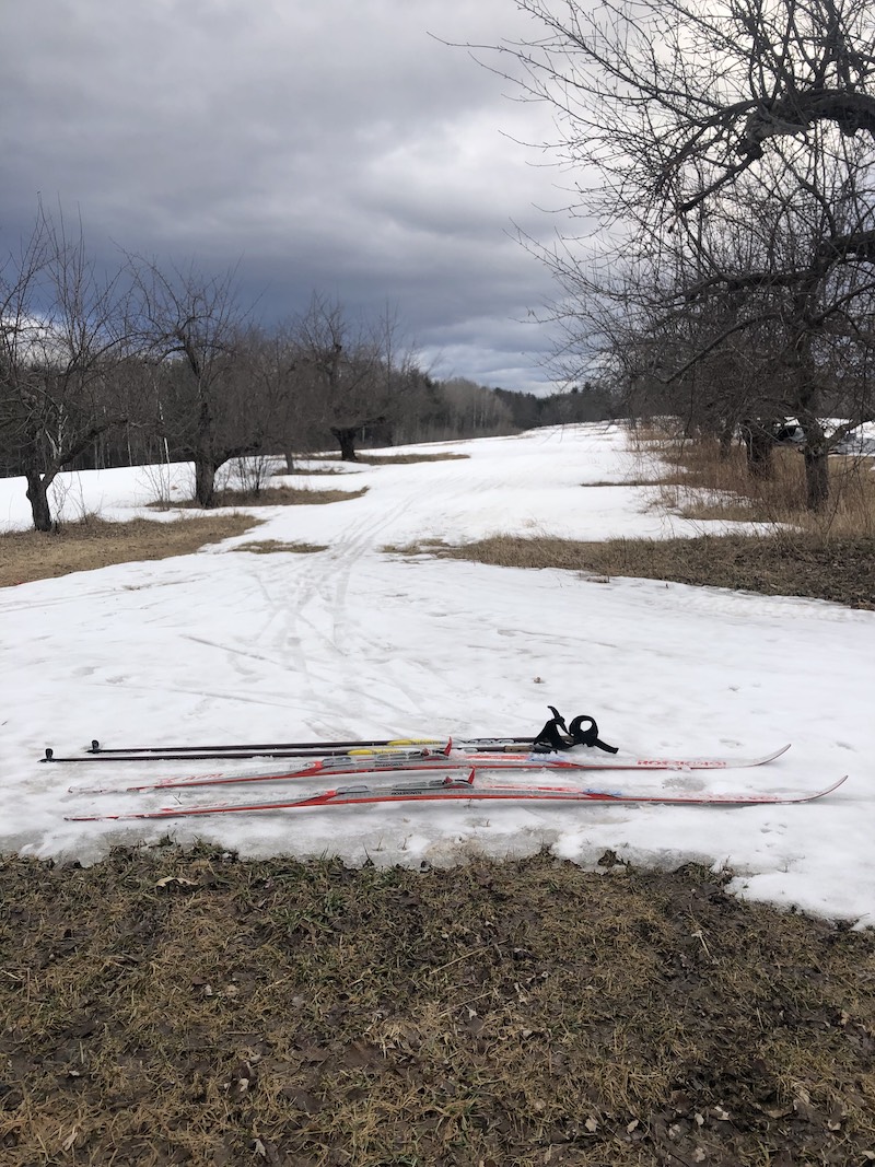 Spring skiing at ANSA